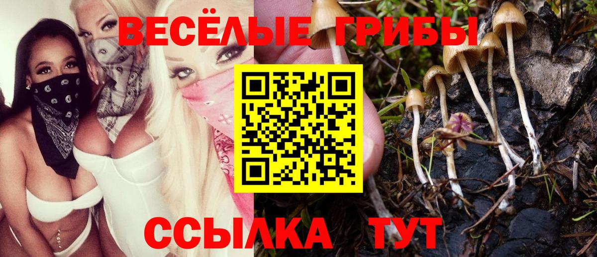 Псилоцибиновые грибы MAGIC MUSHROOMS Железноводск