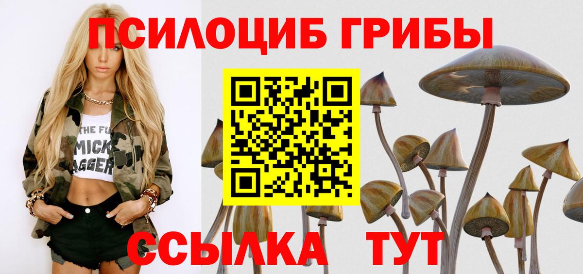 Псилоцибиновые грибы Psilocybe  Галлюциногенные грибы мухоморы  Железноводск  Вход с VPN 